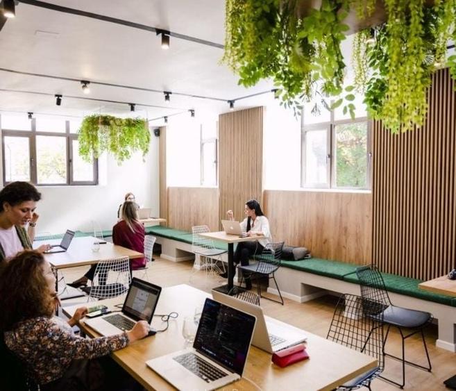 Calea Victoriei I Vila Monument Istoric I Consolidata si Renovata - 1