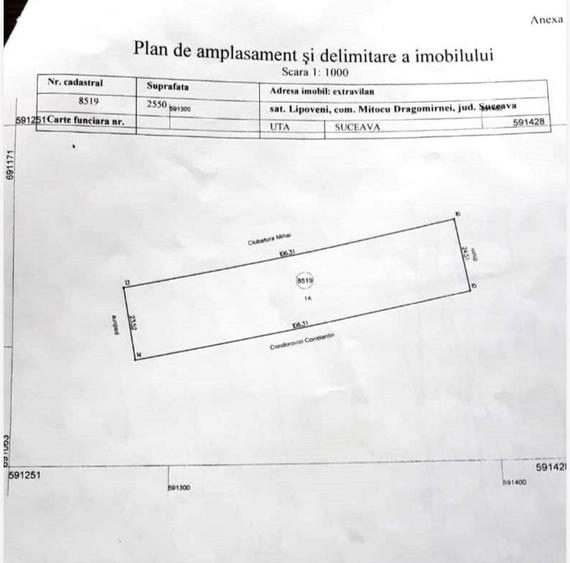 Teren extravilan, sub padure, Lipoveni - 1