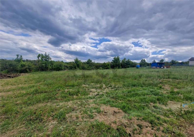 RECO teren intravilan Saldabagiu de Munte - 3