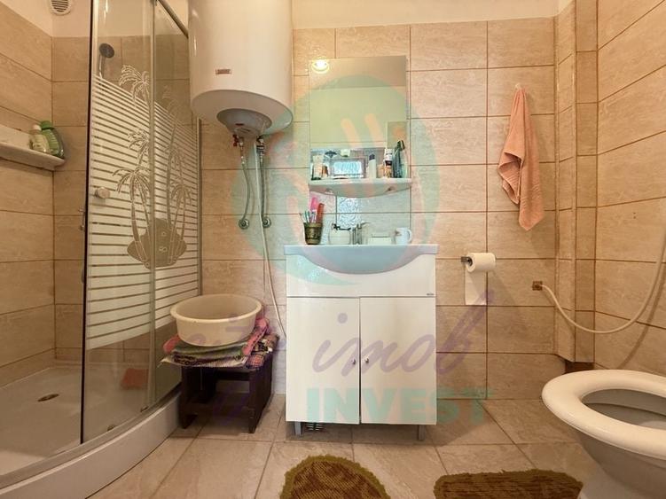 Casa singura in curte la 2 pasi de Calea Calarasilor - 10