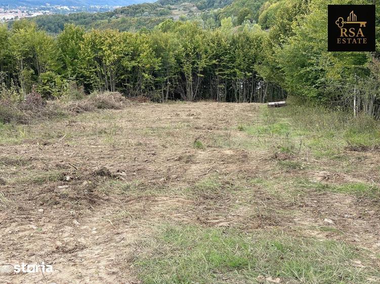 Teren 3000 mp de vanzare Budesti Racovita Valcea, panorama spectaculoa - 5