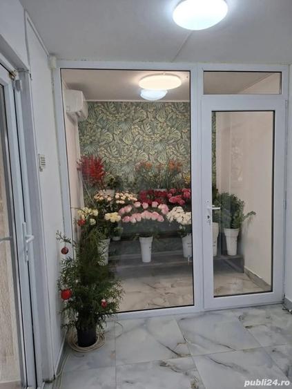 Spa?iu cu Vad, Cire?ica - 2