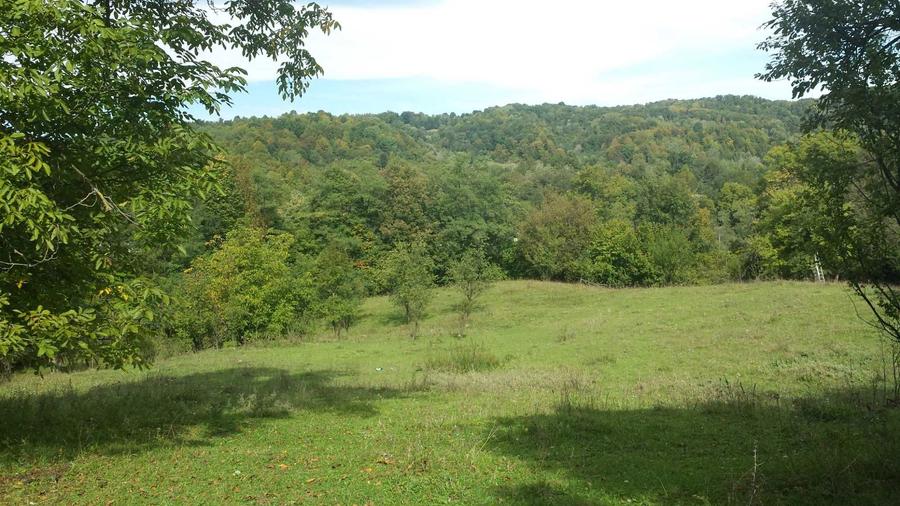 Teren intravilan Provita de jos(linga Breaza) PRAHOVA - 6