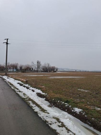 Vand loc de casa in Zvoristea 36 ari - 2