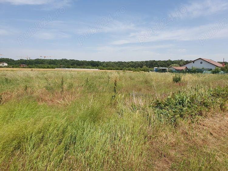 Teren situat in Balotesti,langa padure,acces drum pietruit, 28000 euro - 5