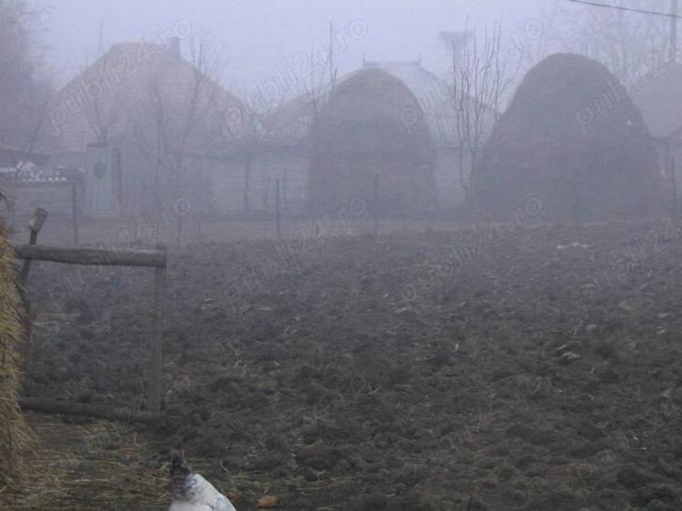 De vanzare casa ?i gradina - 2