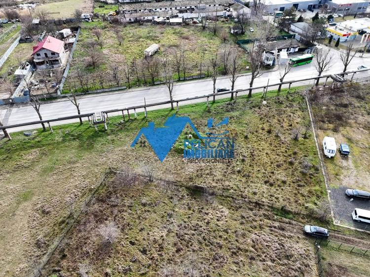 Teren intravilan - Str. Isaccei, 1000MP - 10