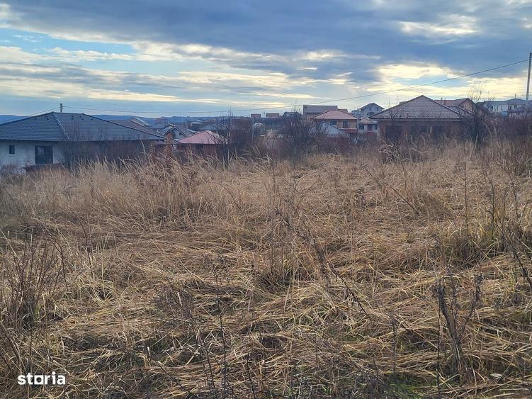 2380 mp teren in Paleu, strada Teiului - 1