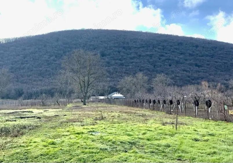 Casa de Vanzare 2000 mp - 6