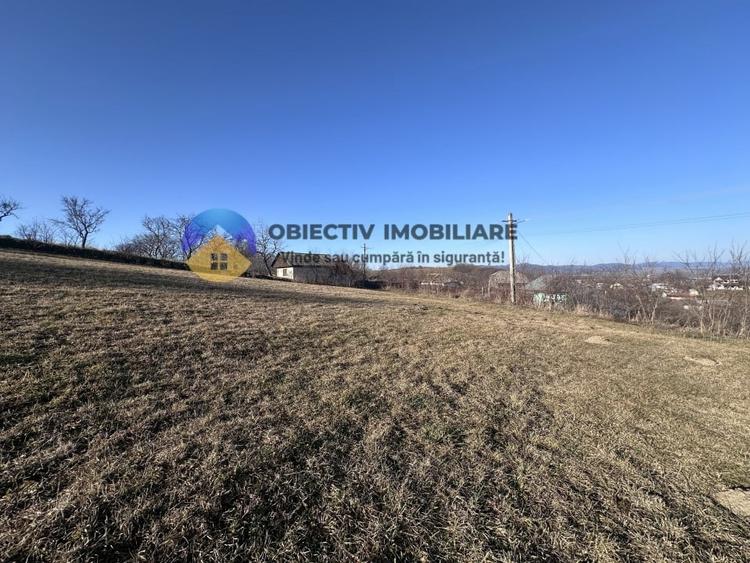 Teren intravilan DOBRENI - 8