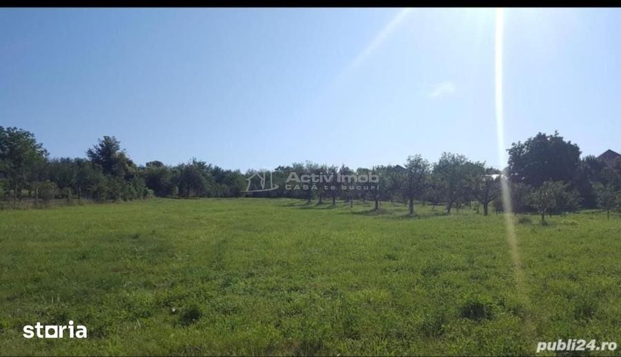 Teren de 6000 mp, în Boldești