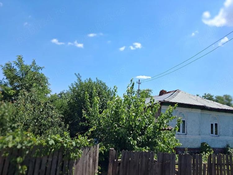 Casă cu Teren 1500 Mp în Vintileanca