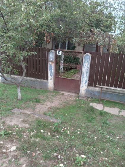 Teren de 1300 mp, în Drăgănescu