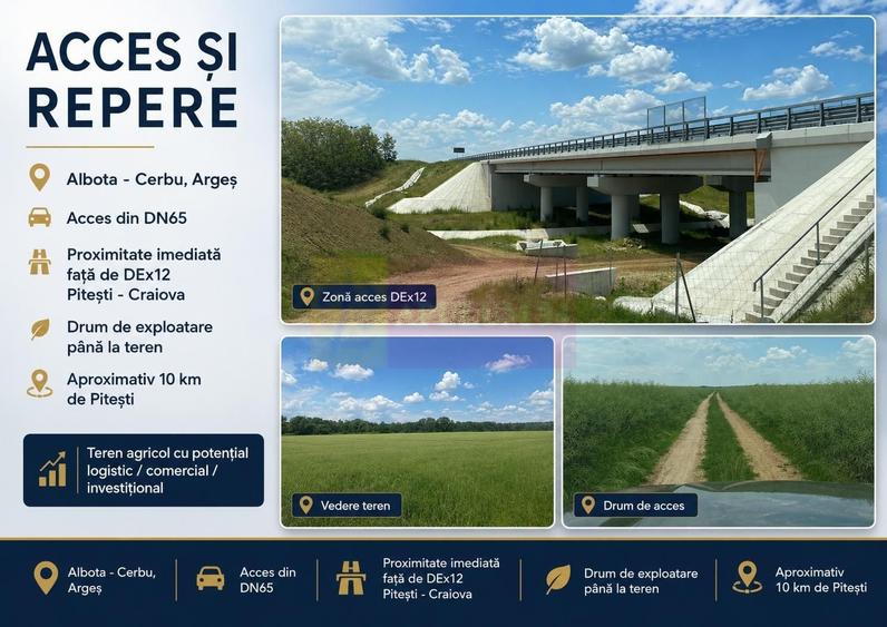 Teren agricol extravilan de 62600 mp, în Albota