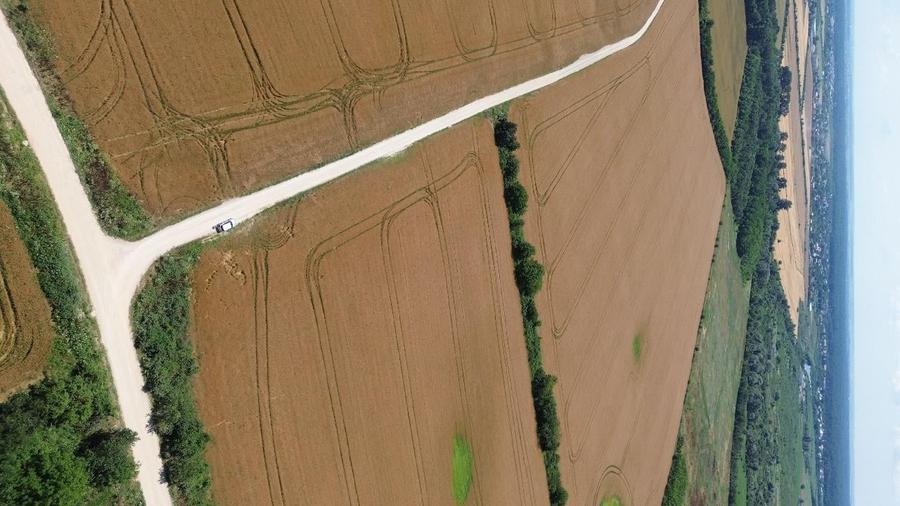 Teren agricol intravilan de 200000 mp, în Ciolpani