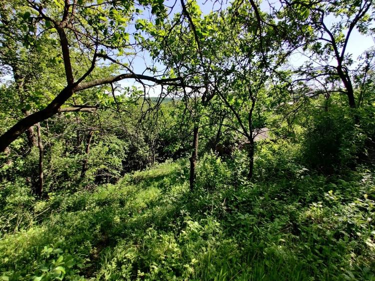 Teren de 1400 mp, în Dezmir