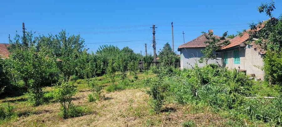 Teren de 1550 mp, în Colceag