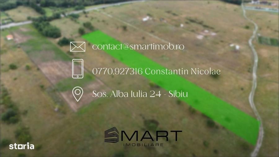 Teren intravilan 5000mp Valea Avrigului - 4