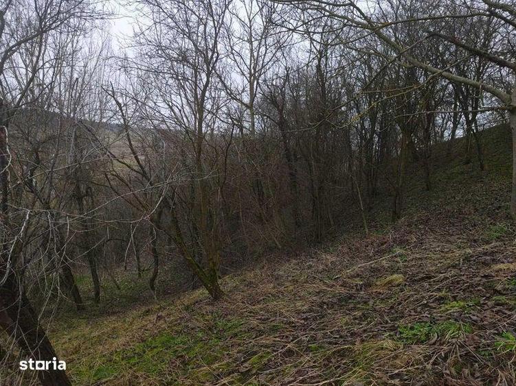 Teren de 5000 mp, în Sic