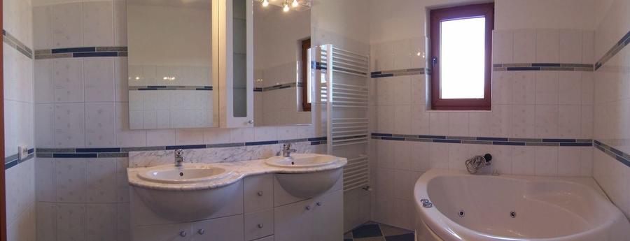 Vila Snagov langa padure / lac - 8