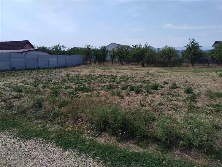 RECO Teren intravilan, Livada - 1