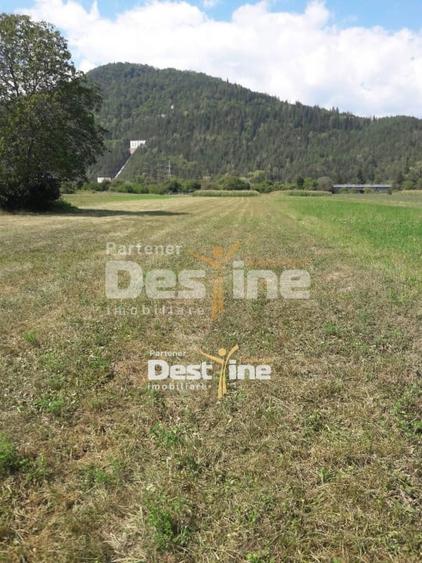 Teren de vanzare Pangarati 58.500 Euro 4488mp Intravilan - 1