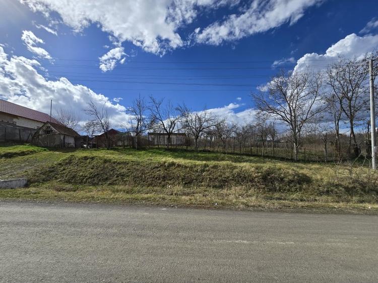 Herneacova-Casa si Teren-Livada- 2876 mp- Front 37m - 4