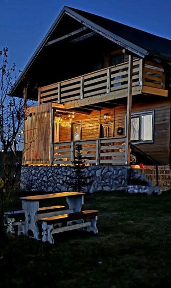 Casa in Moac?a cu vedere la Lacul Padureni - 1