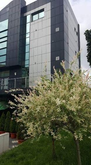 Vand imobil P+3, 490 mp  Cina - Rm Valcea - 3