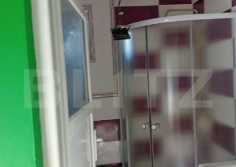 Casa spatioasa in Sanmihaiu de Campie - 13