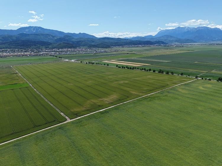 Teren de vânzare într-un ansamblu rezidențial nou! - 4