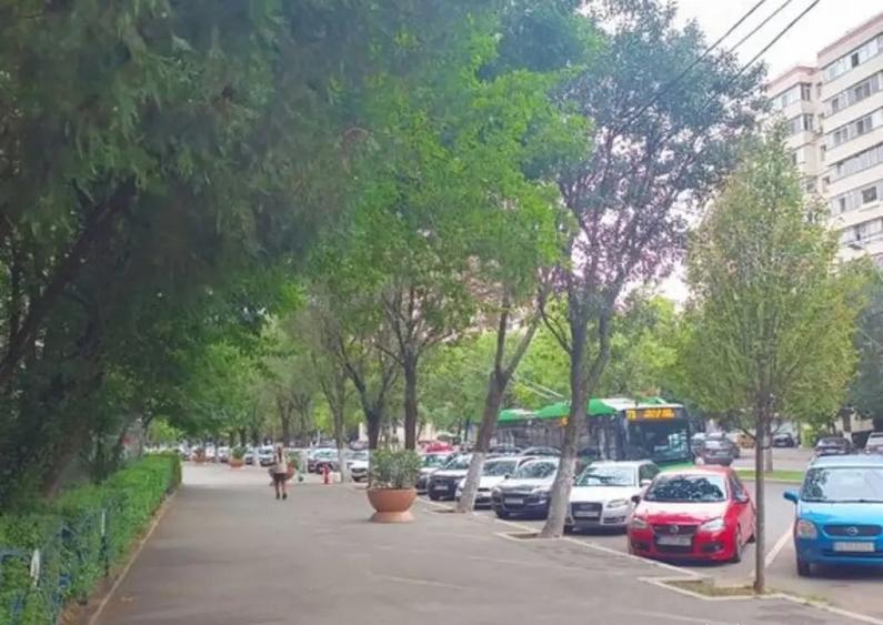 Piata sudului confort2 etaj 4 obregia - 4