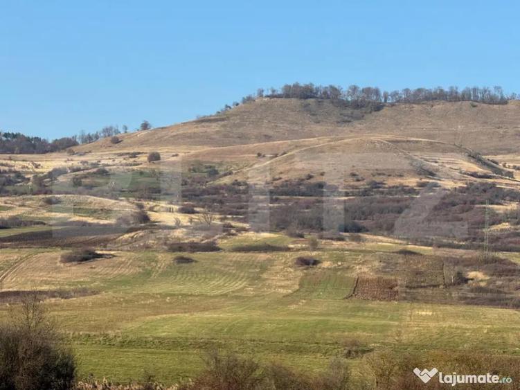 5 terenuri extravilane agricole cu suprafata totala de 13.37 - 3