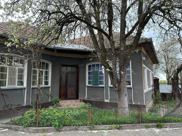 Casa de vanzare in Ineu, judetul Arad - 8