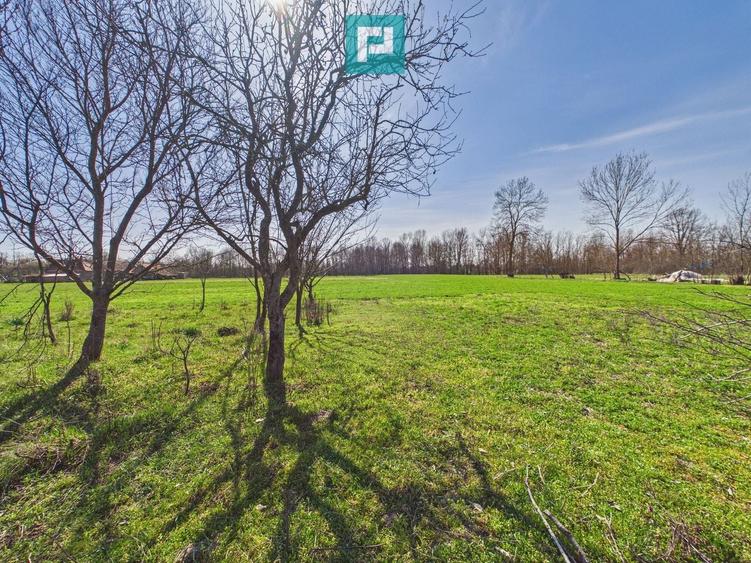 Casă cu teren de 6000 mp în Duboz, Timiș - 9