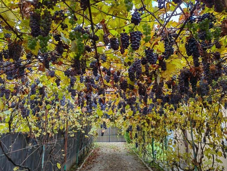 Brebu-Prahova, casa+teren 1600 mp, COMISION 0% - 3