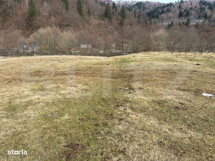 Teren zona Plaiu Foii - 7