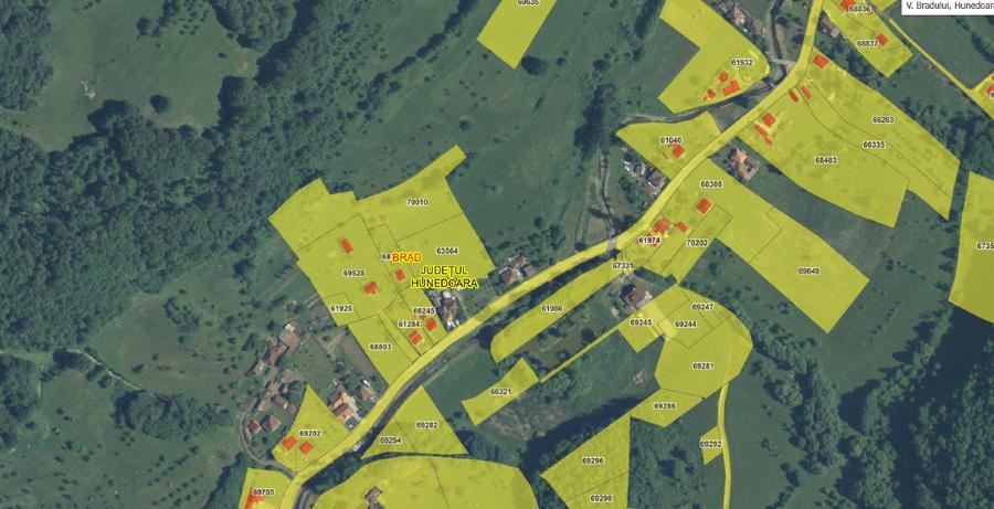 Vand proprietate la Valea Bradului - 10