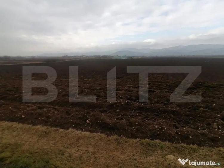 Teren extravilan 21300 mp zona Vintu de Jos - 3