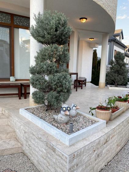 Clinica Medicala/ Policlinica - Centru Educational - 3