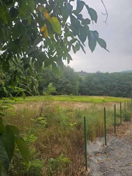 Vand 2756 mp teren in Luncani - 6