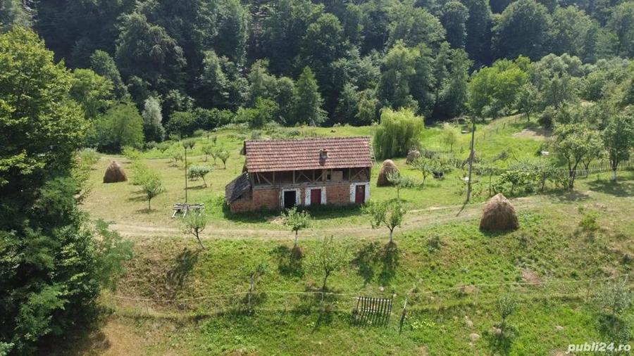 Teren de vanzare in comuna Cicane?ti, sat Bara?ti, Judet Arges. - 7