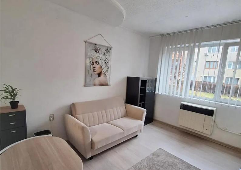 Garsoniera mobilata zona Noua - 1