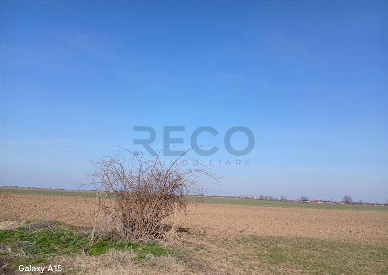 RECO Teren intravilan aproape de zona industriala Biharia - 1