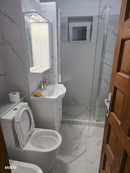 Apartament doua camere C.Severinului - 5