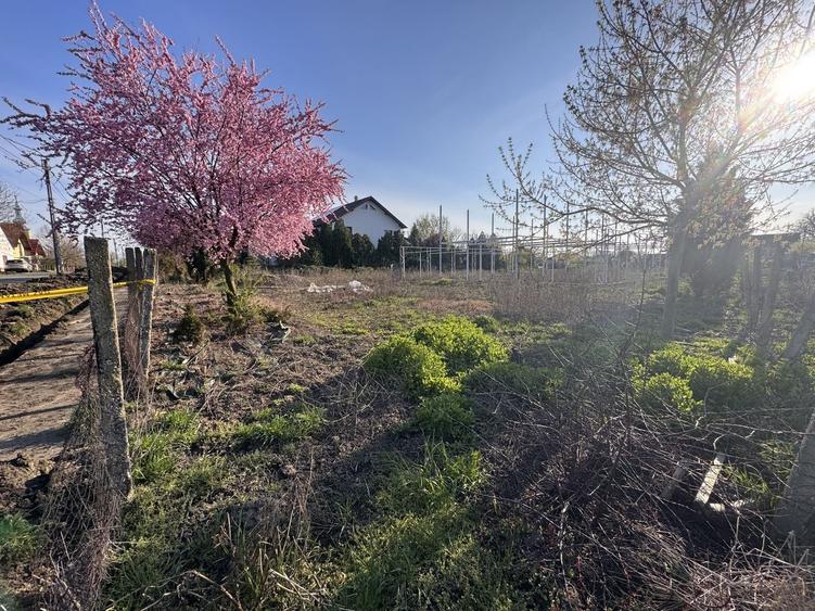 Teren Intravilan Becicherecu Mic 750mp,F.S 19ml,Utilitati,Asfalt - 2