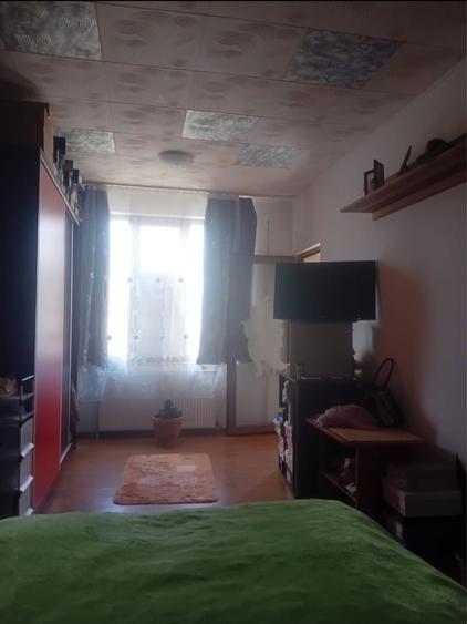 Casa de vanzare P+M cu garaj - 8