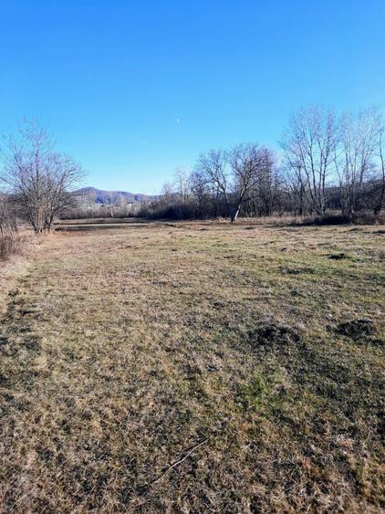 Teren 5296m2 Pucioasa deschidere 28m acces drum asfaltat DN71-DC136A - 1