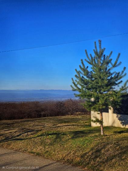 Teren intravilan 2.000 mp – Seciu, 2 deschideri, Priveliște panoramica - 4