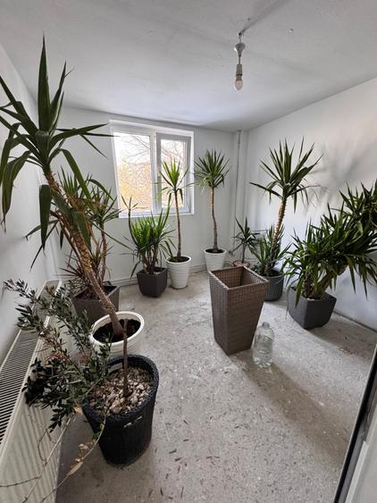 Drumul Taberei | Ghencea | Casa 240 Mp- Investitie - 4